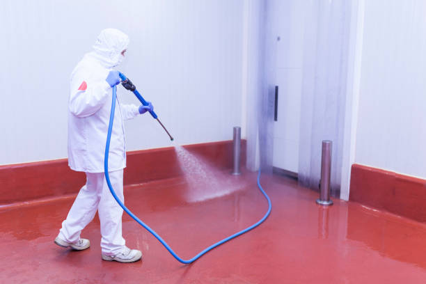 Paint Preparation in Indialantic, FL