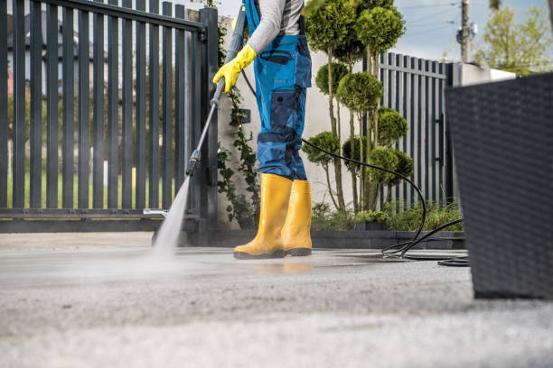 Best Dumpster Area Cleaning  in Indialantic, FL